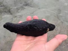 -三亚太阳湾柏悦酒店