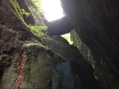 -武陵山森林公园