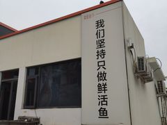 -向外鱼乐·土菜·虹鳟鱼