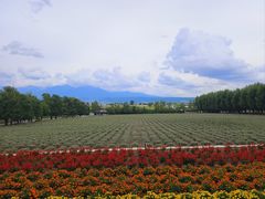 -富田农场
