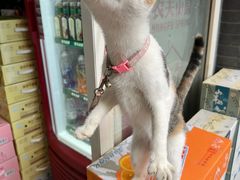 -中国人民解放军空军第九八六医院(北区)