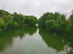 -同里国家湿地公园