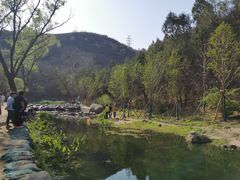 -白水寺森林公园