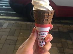 -富豪雪糕车流动点(尖沙咀)