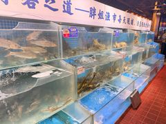 -胖姐渔村(中源大道店)