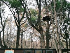 -WeLope紫金山探险公园