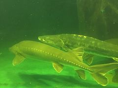 -多彩贵州城极地海洋世界