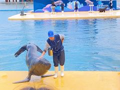 -秦皇岛乐岛海洋王国