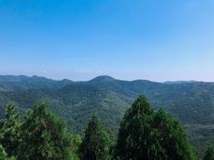 -金龙寺国家森林公园