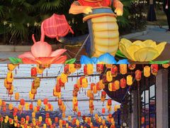 -三亚红色娘子军演艺公园景区