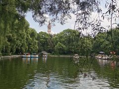 -黑龙江省森林植物园