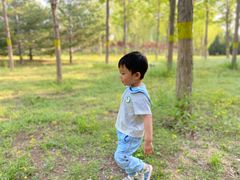 -永定河休闲森林公园