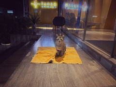 -彩虹云霄酒店76&78层国际自助餐