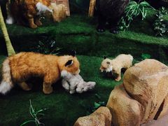 -济州岛泰迪熊博物馆