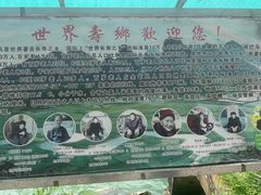 -长寿村