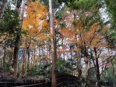 -常寂光寺