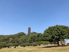 -红花山公园