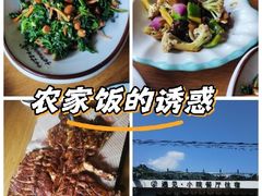 -遇见小院—虹鳟鱼•农家菜(怀柔店)