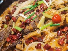 -老板恋上鱼(印象城店)