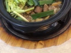 -一煲鸽