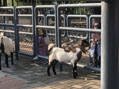 -长白岛森林公园