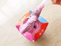 西班牙红提口味麦旋风-麦当劳(东苑丽宝商业广场店)