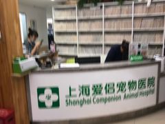 -爱侣宠医·鹦鹉专科·小型哺乳类·异宠专科(灵石路店)