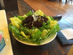 -洞仙锅(花园街店)