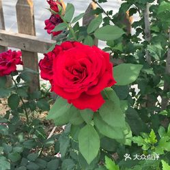 67673人均变态_中国人均寿命变化图(3)