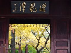 -汇龙潭