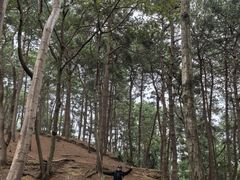 -杭州半山国家森林公园