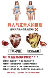 -Fundi张玉珊修身堂·indiba·BTL科技瘦身