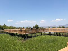 -洱海月湿地公园