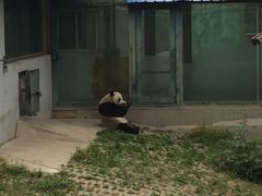 -石家庄市动物园