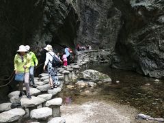 -牛背梁国家森林公园