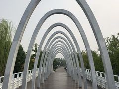 -大兴滨河森林公园