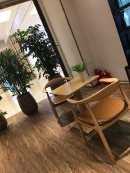 -Mentor Hair Salon