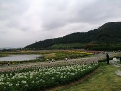 -径山花海