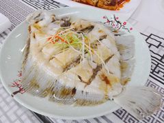 清蒸多宝鱼-雅逸居海鲜小厨