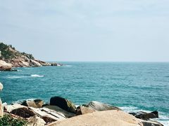 -广东惠东海龟国家级自然保护区