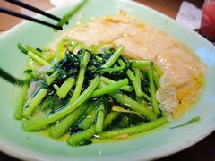 鸡汁腐皮豆苗-新白鹿餐厅(城西银泰城店)