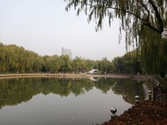 -康庄公园
