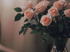 -Tims天好咖啡·贝果(东吴龙湖天街店)