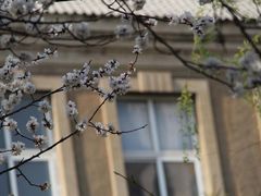 -辽宁大学(崇山校区)