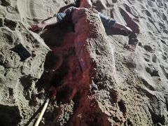 -老虎石海上公园