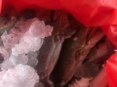 -芦潮港集贸市场