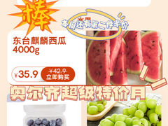 -ALDI奥乐齐超市(浦东大华锦绣优嘉店)