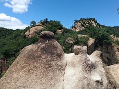 -大岭沟猕猴桃谷风景区