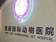 -宠爱国际动物医院·疑难骨科·心肾内科·皮肤科(太阳宫店)