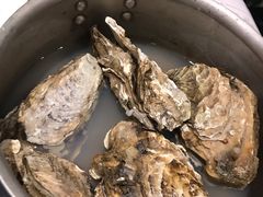 蒸生蚝-金谷园饺子·烧烤(人大总店)